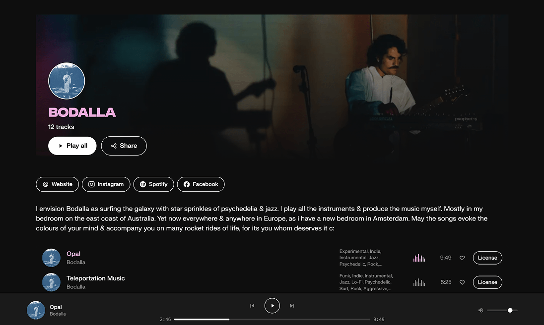 Artist profile page